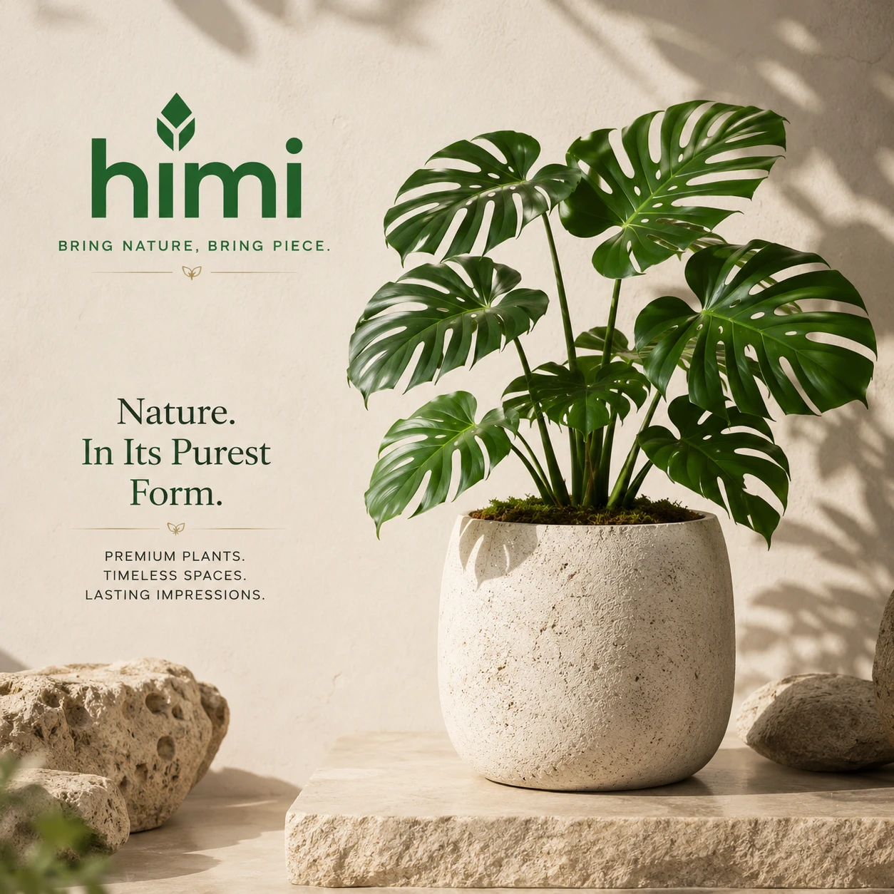 Botanical space inspiration gallery 4